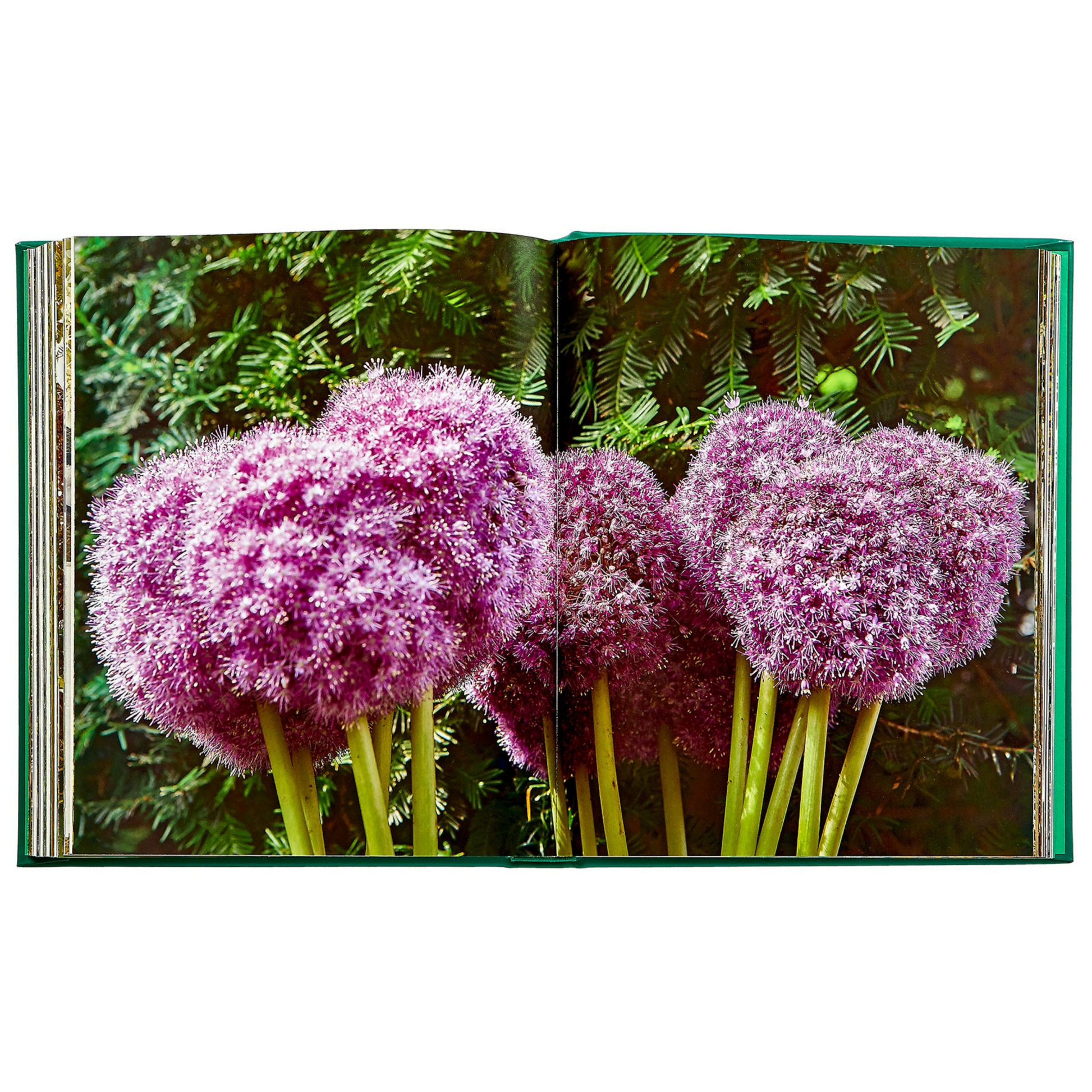 Bunny Williams: Life in the Garden - Hosted by Kelly Gaudreau