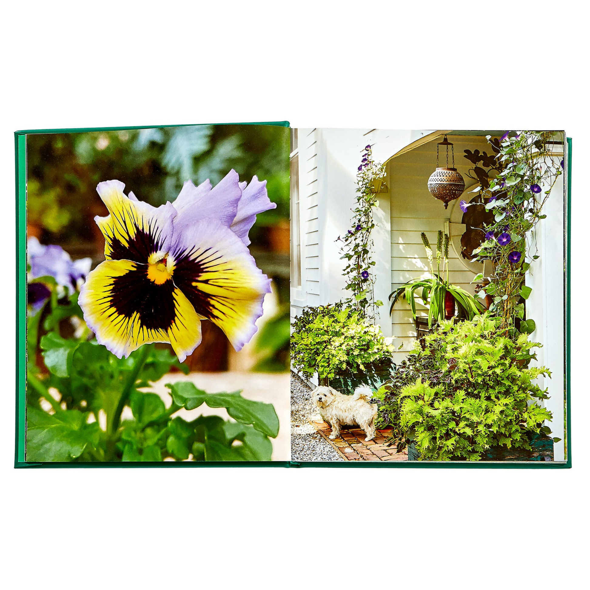 Bunny Williams: Life in the Garden - Hosted by Kelly Gaudreau