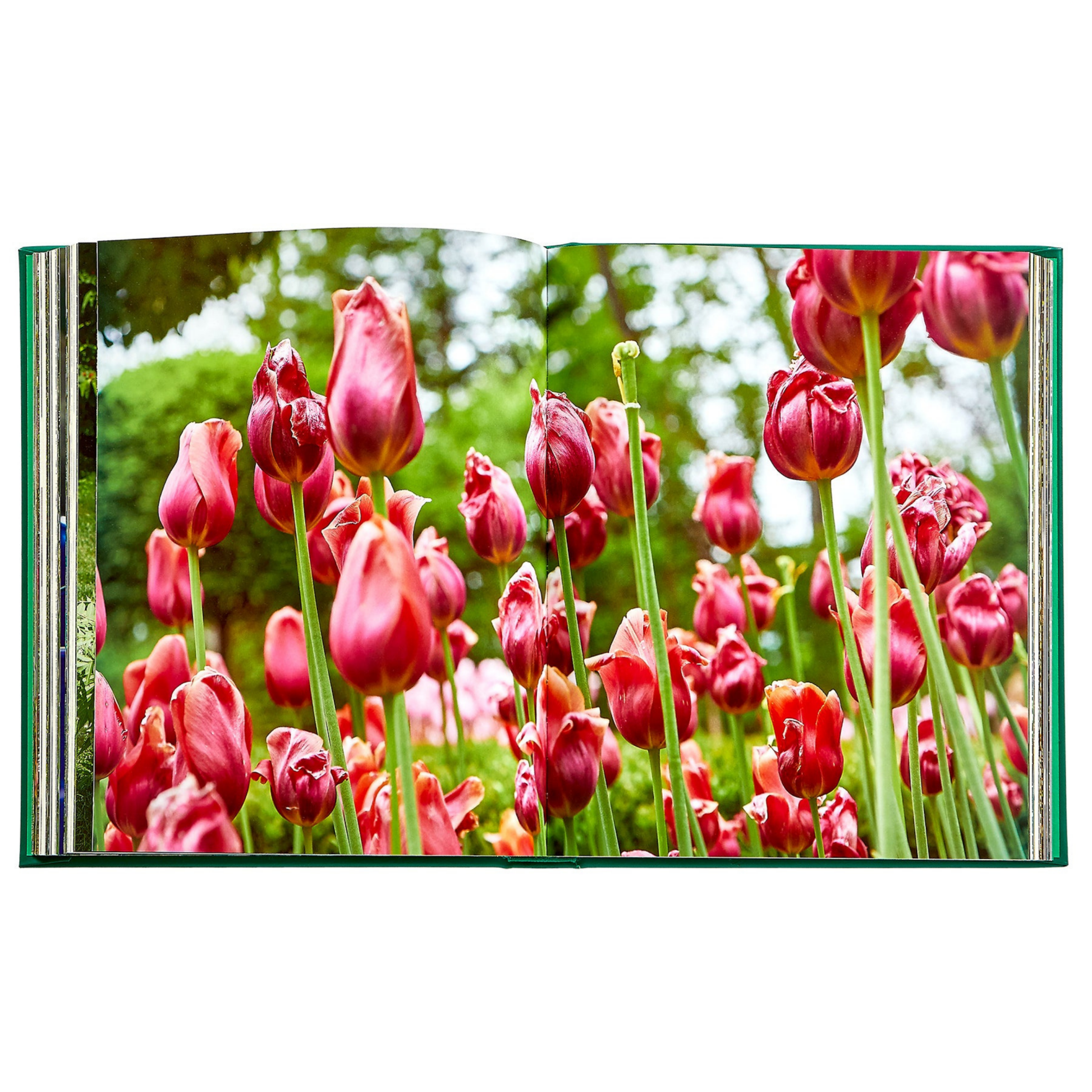 Bunny Williams: Life in the Garden - Hosted by Kelly Gaudreau