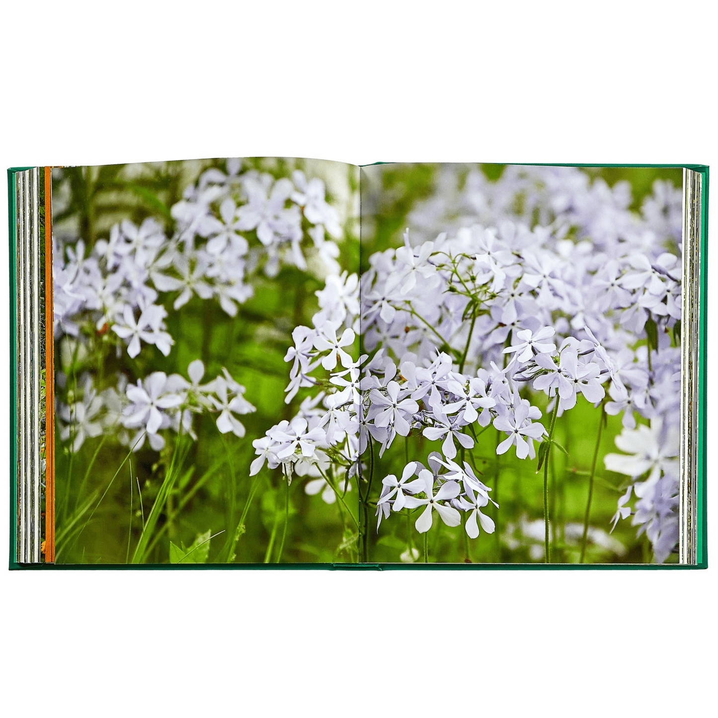 Bunny Williams: Life in the Garden - Hosted by Kelly Gaudreau