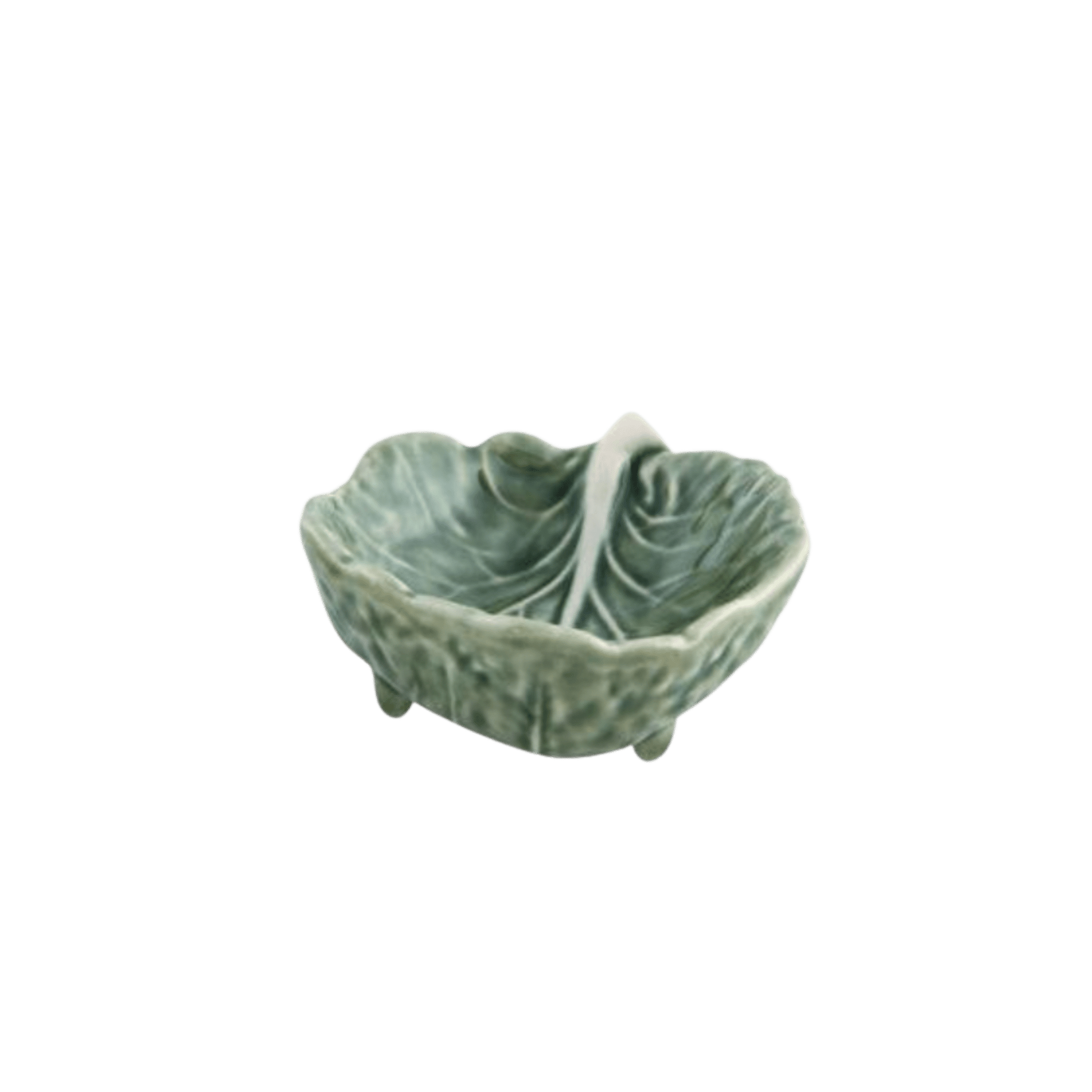 Cabbage Natural Small Leaf - Hosted by Kelly Gaudreau