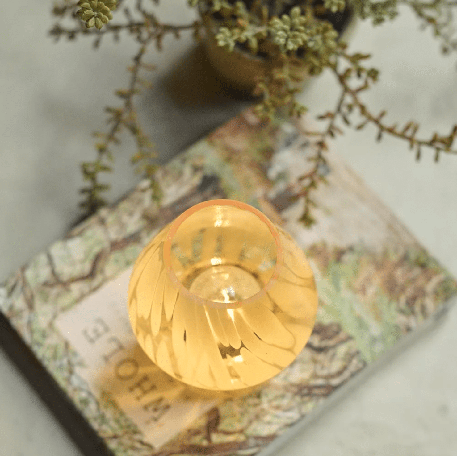 Cady Portable Table Lamp - Hosted by Kelly Gaudreau