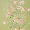 Peony