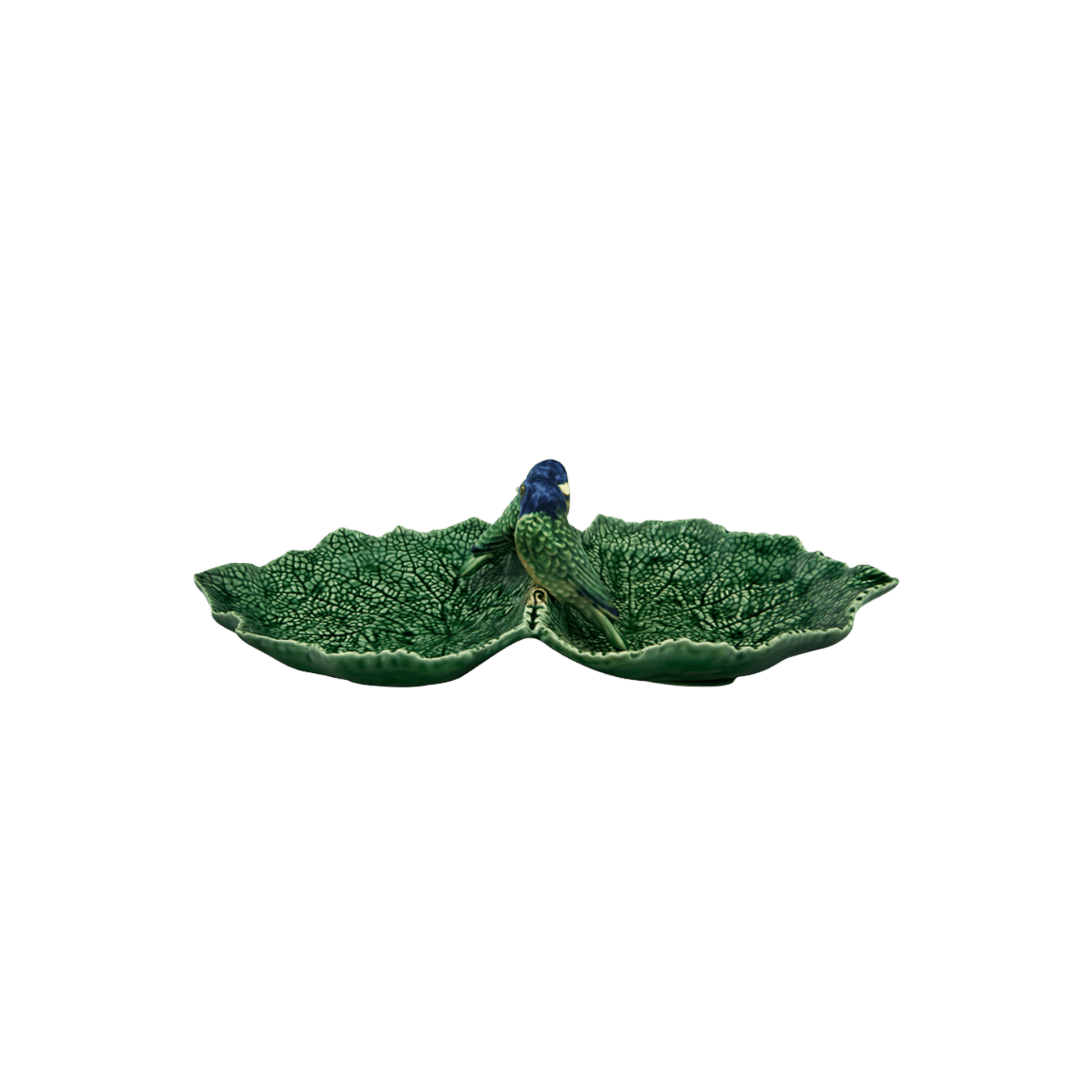 Cinerária Double Leaf with Blue Birds Bowl - Hosted by Kelly Gaudreau