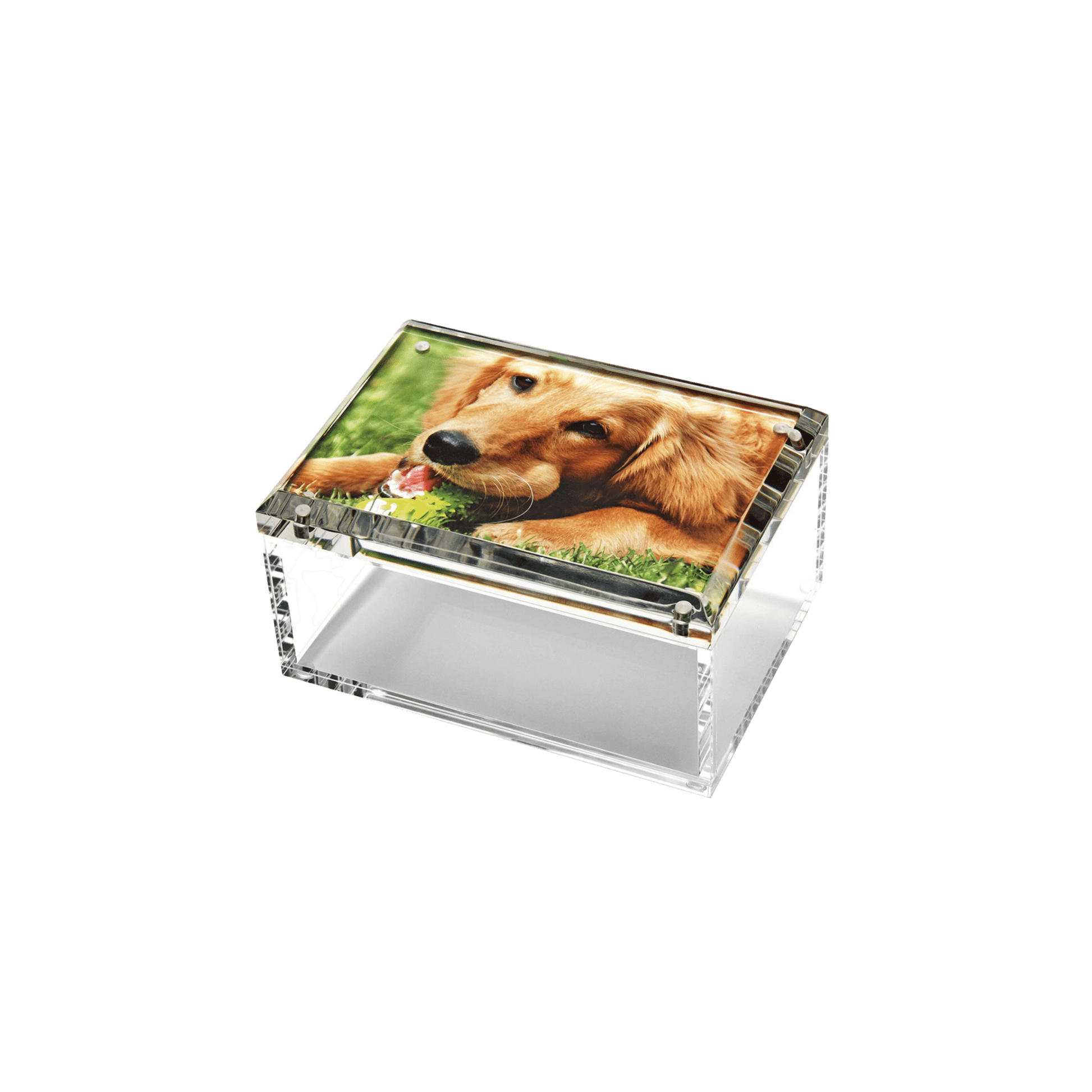 Clear Photo Box - Hosted by Kelly Gaudreau