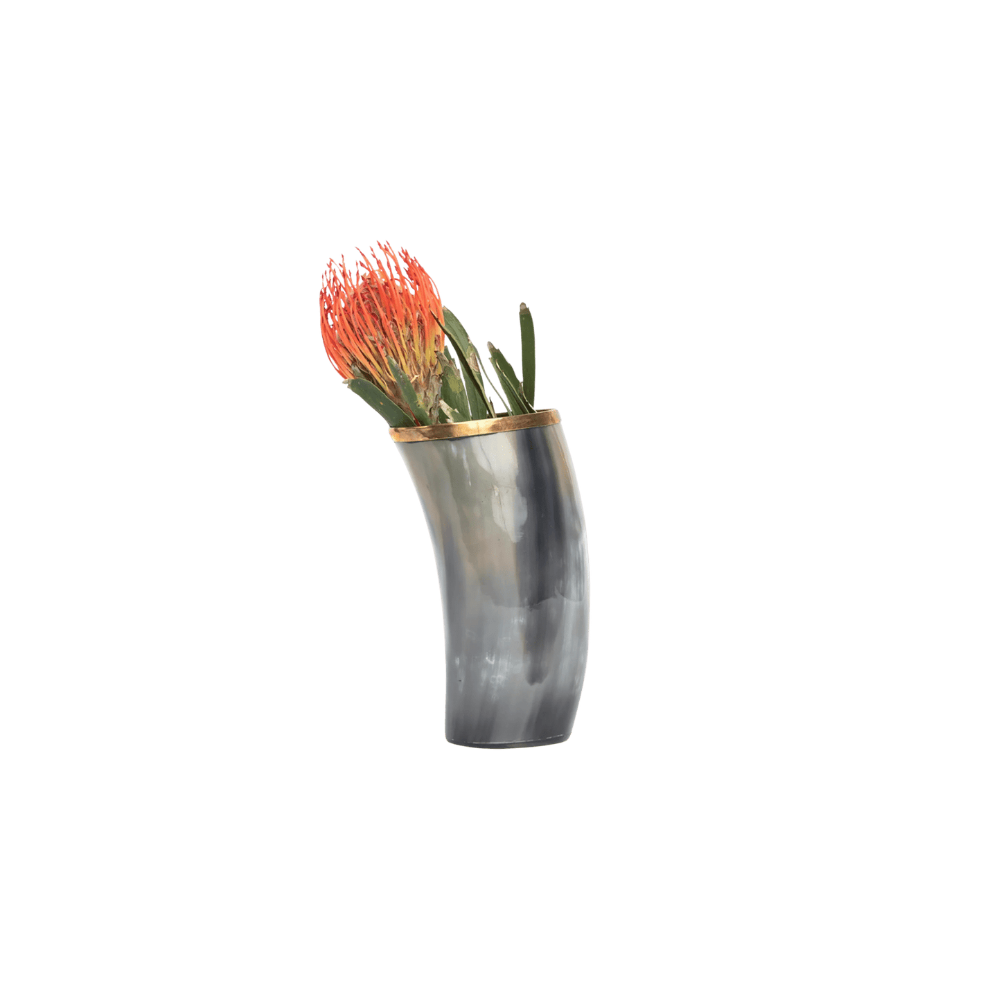 Cow Horn Vase with Gold Trim - Hosted by Kelly Gaudreau