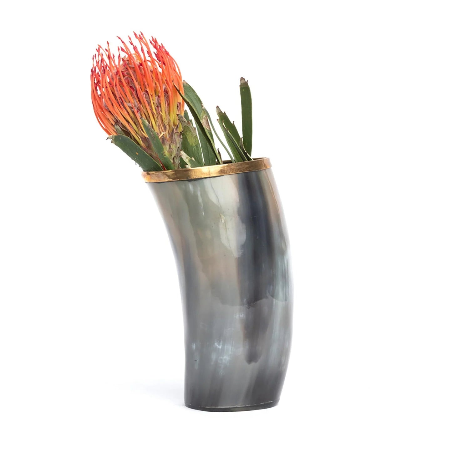 Cow Horn Vase with Gold Trim - Hosted by Kelly Gaudreau