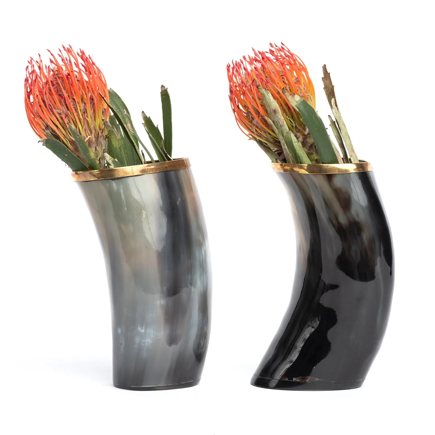 Cow Horn Vase with Gold Trim - Hosted by Kelly Gaudreau