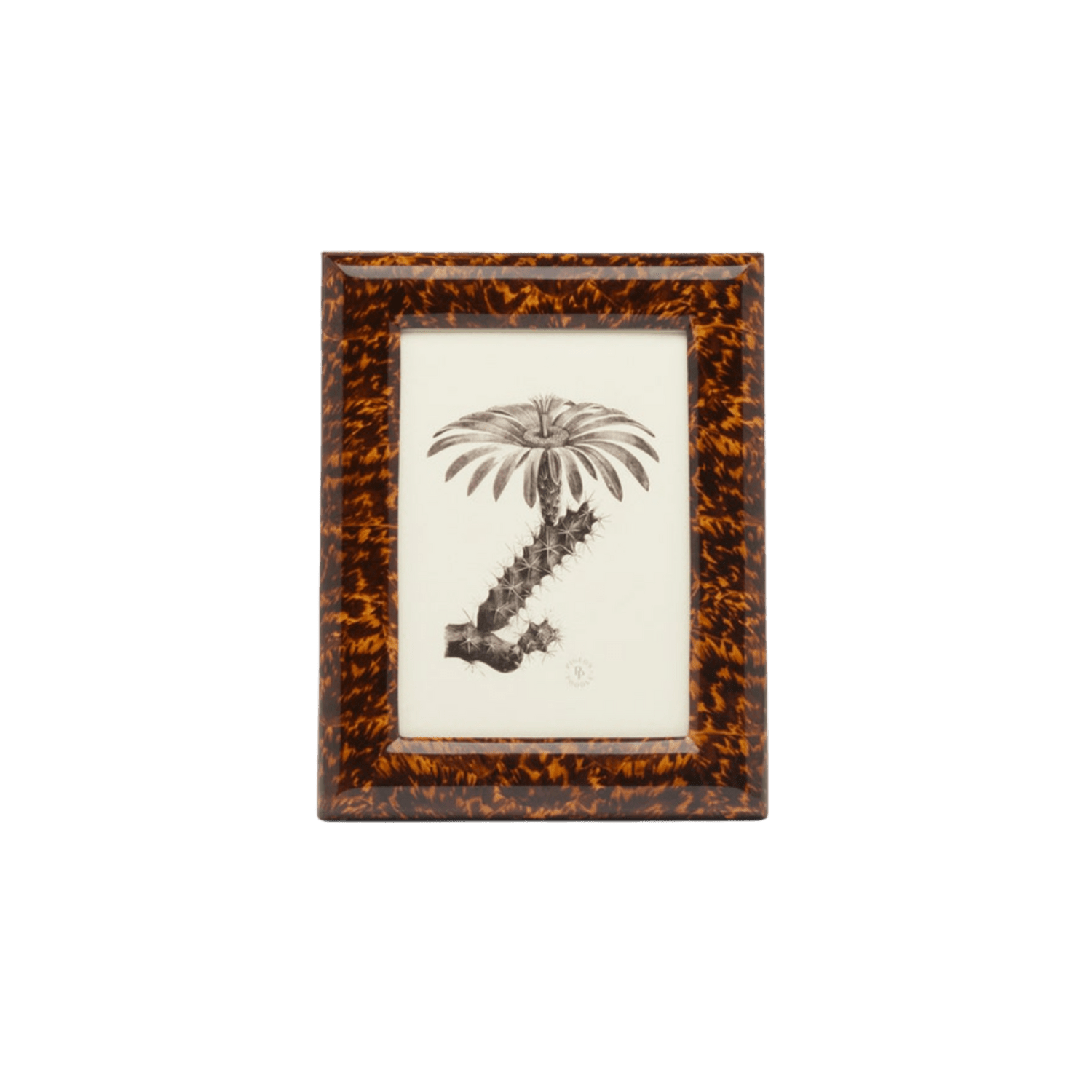 Dana Collection Faux Tortoise Frame - Hosted by Kelly Gaudreau