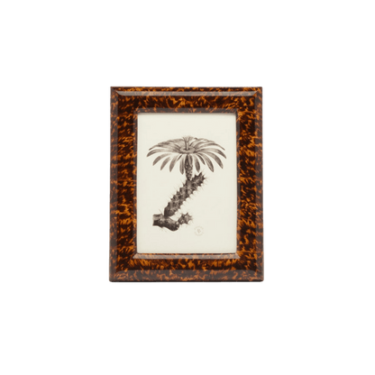 Dana Collection Faux Tortoise Frame - Hosted by Kelly Gaudreau