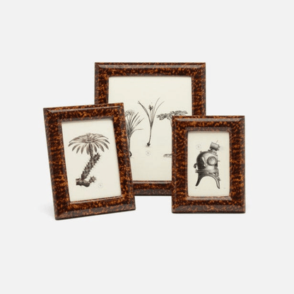 Dana Collection Faux Tortoise Frame - Hosted by Kelly Gaudreau