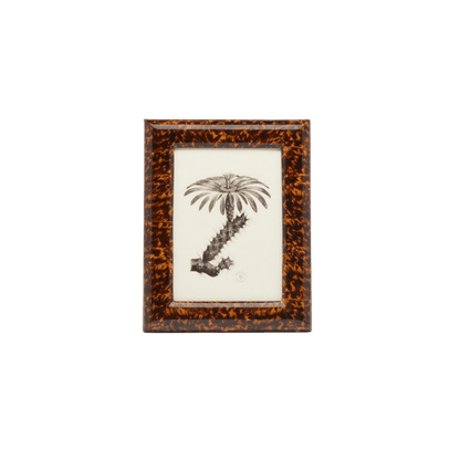 Dana Collection Faux Tortoise Frame - Hosted by Kelly Gaudreau