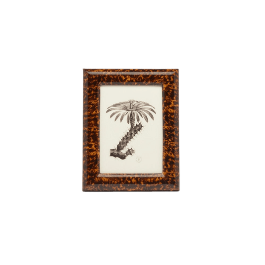 Dana Collection Faux Tortoise Frame - Hosted by Kelly Gaudreau