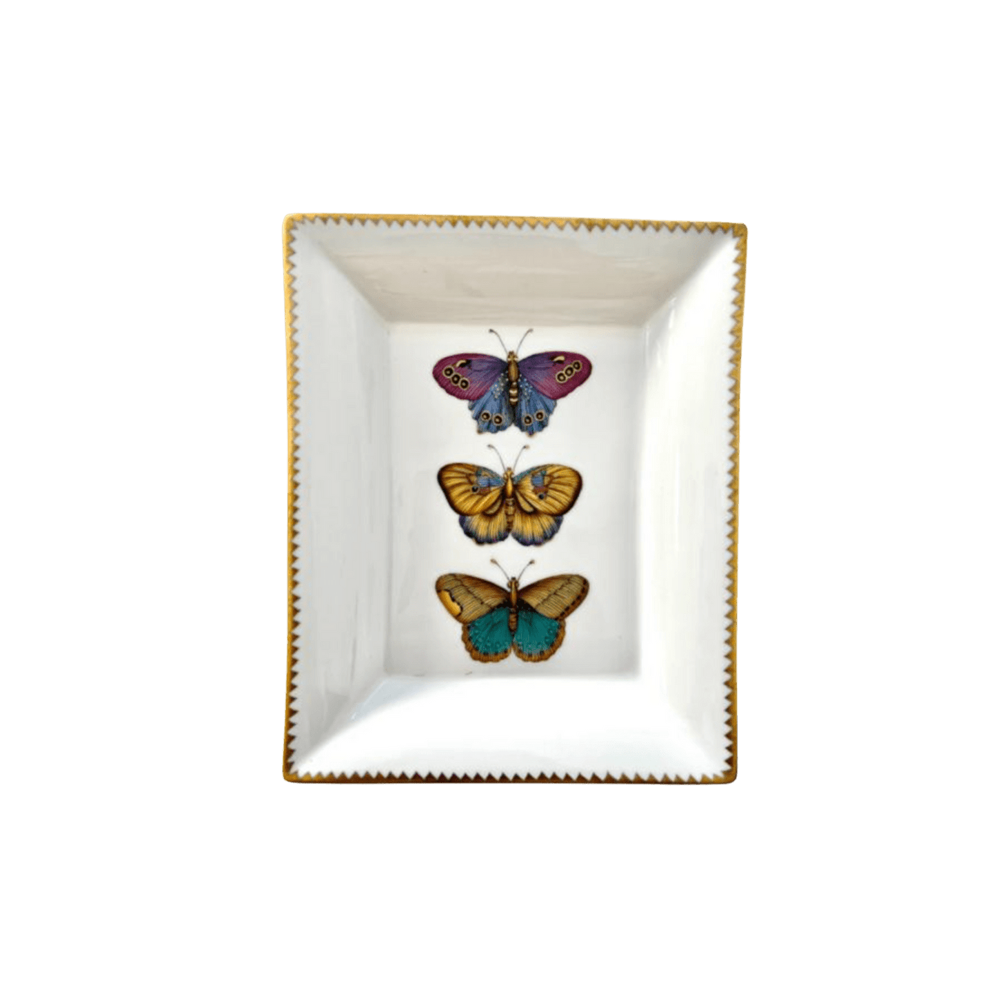 Exotic Butterflies Tray - Hosted by Kelly Gaudreau
