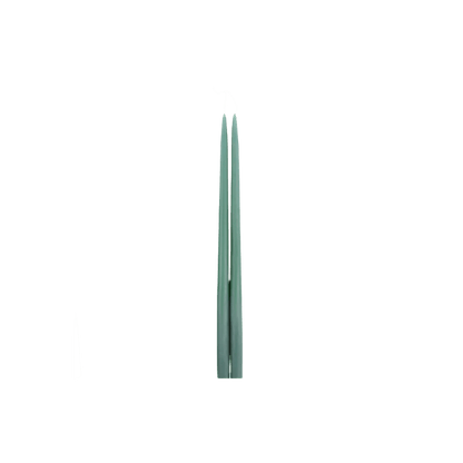 Fancy taper candles in Moss - Hosted by Kelly Gaudreau