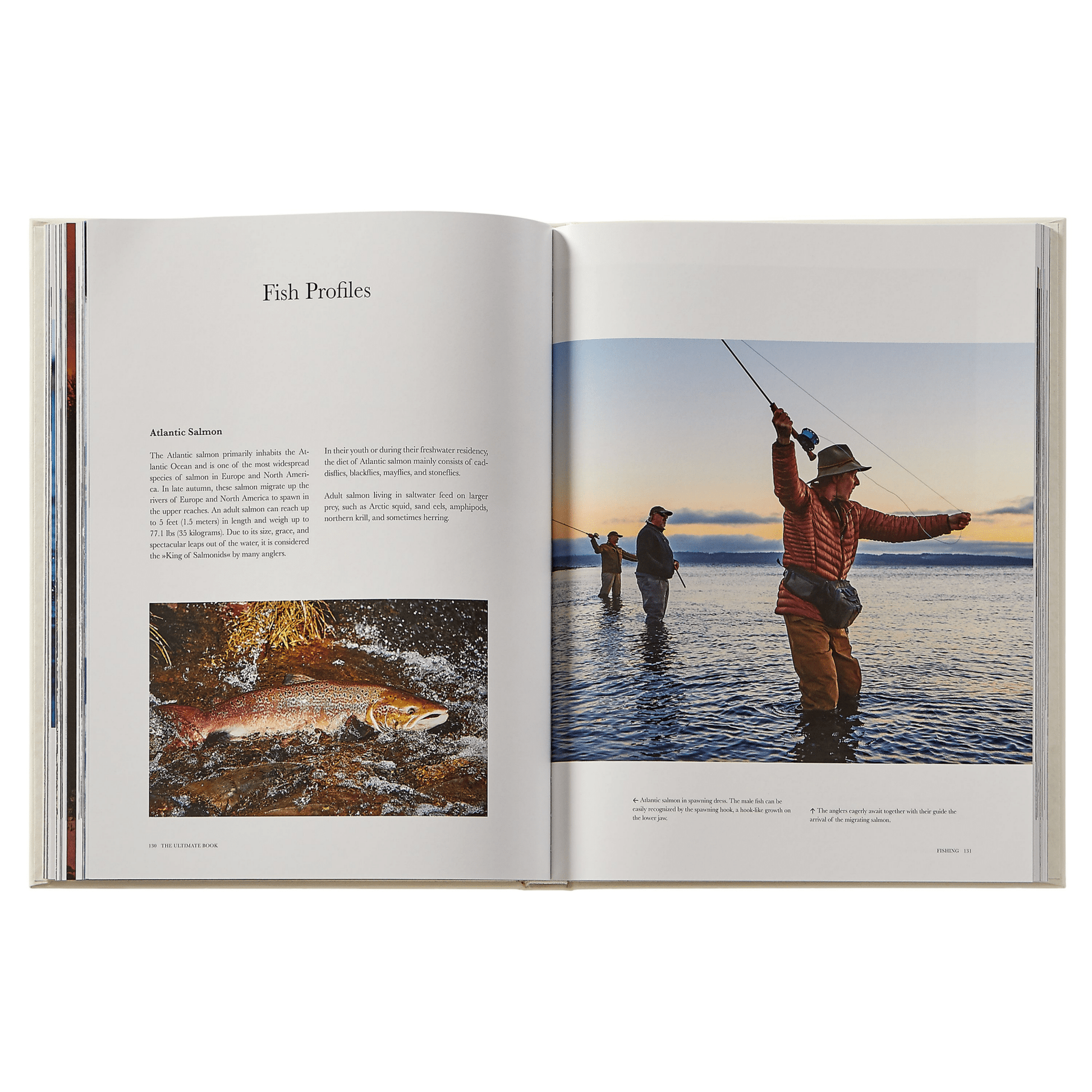 Fishing - The Ultimate Book - Hosted by Kelly Gaudreau