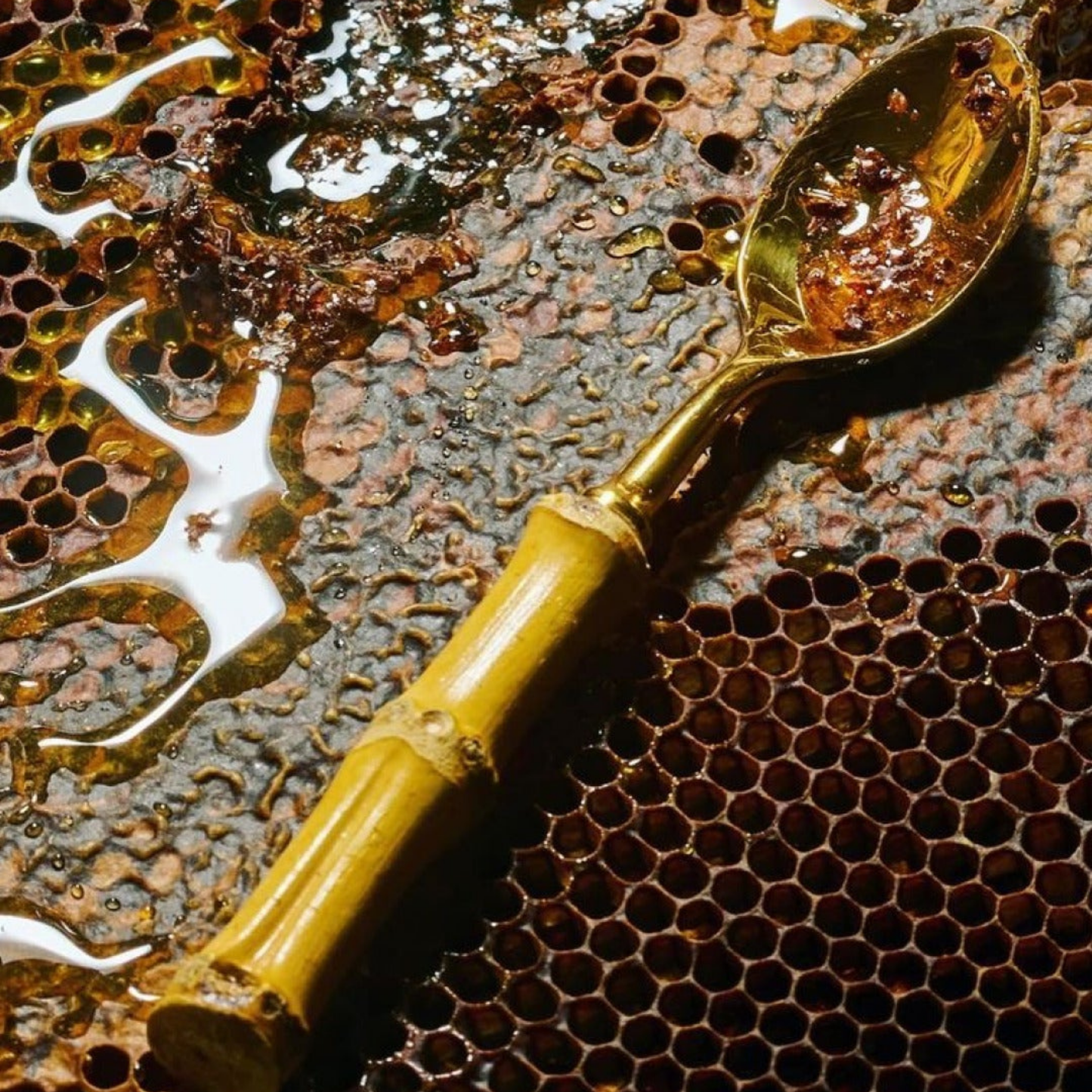 California Wildflower Honey