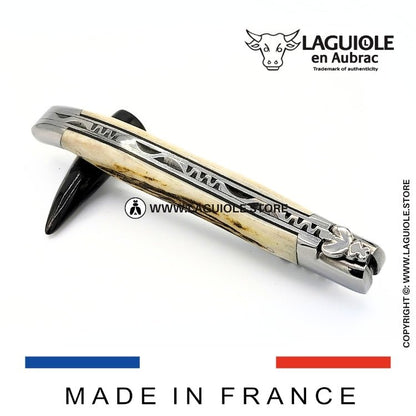 Forge de Laguiole Deer Antler Handle Pocket Knife - Hosted by Kelly Gaudreau