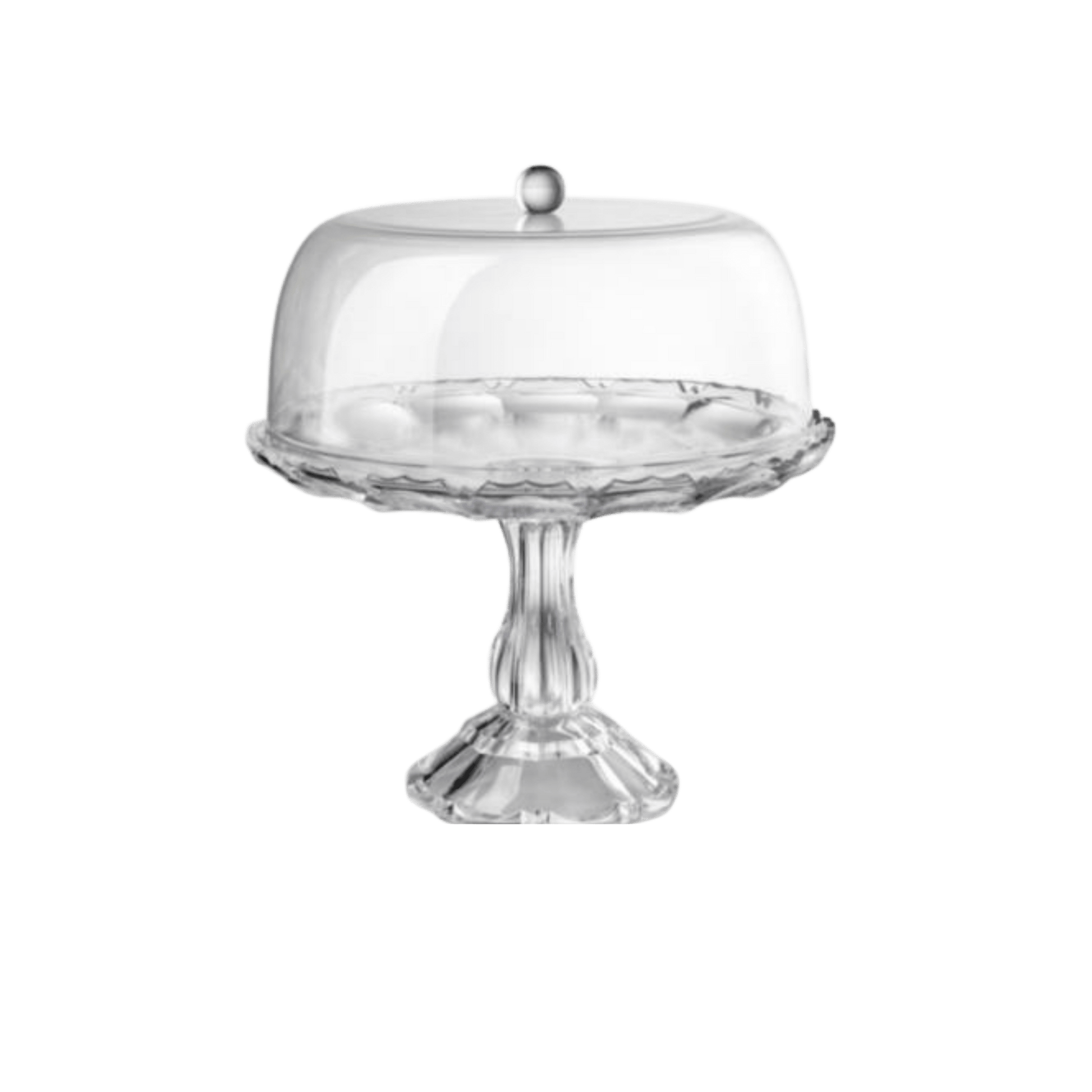 Girasole Cake Dome - Hosted by Kelly Gaudreau