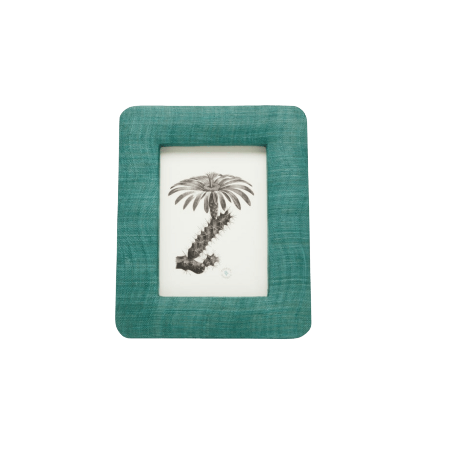 Halle Collection Frames - Hosted by Kelly Gaudreau