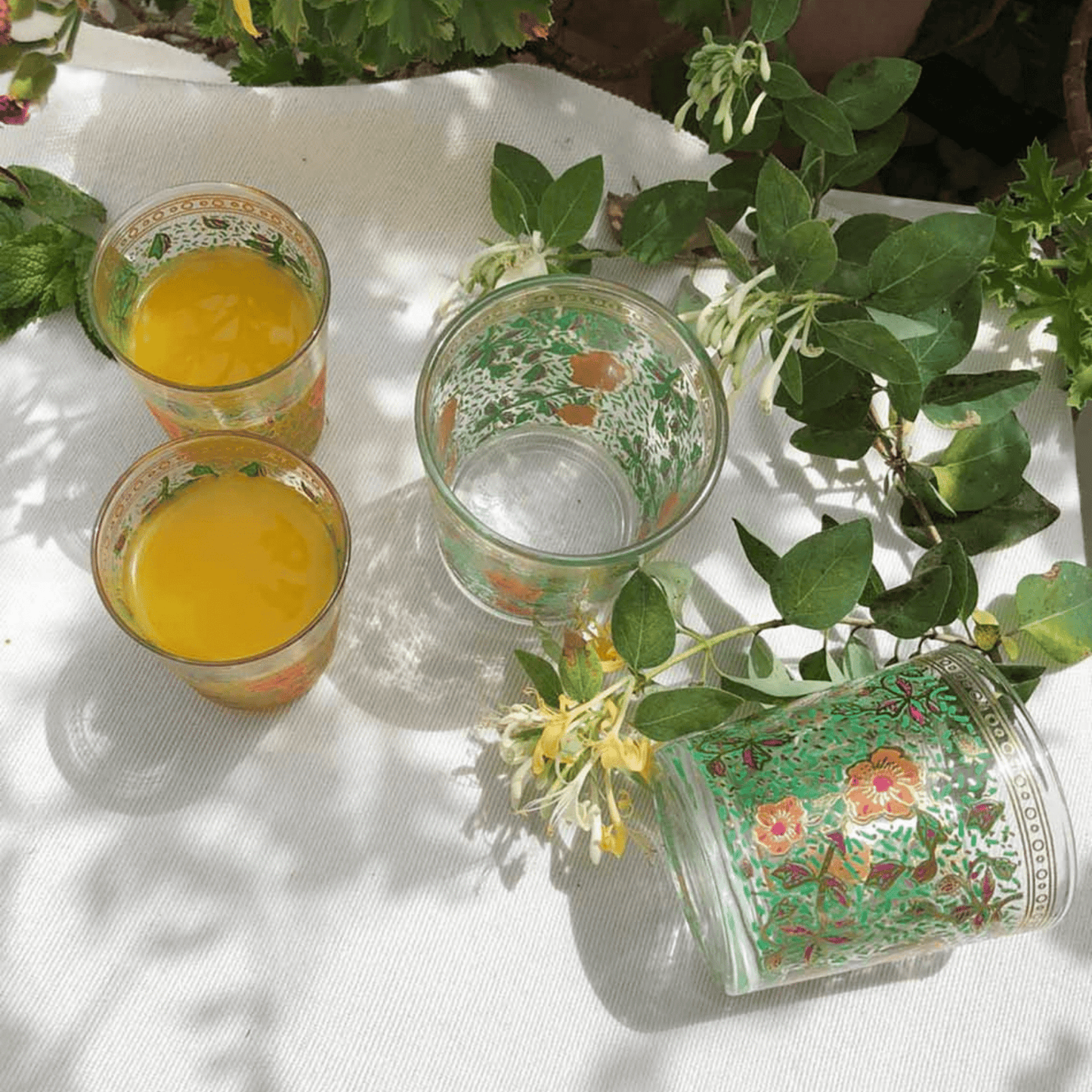 Hand Painted Garden Tumbler Glasses - Set of 6 - Hosted by Kelly Gaudreau