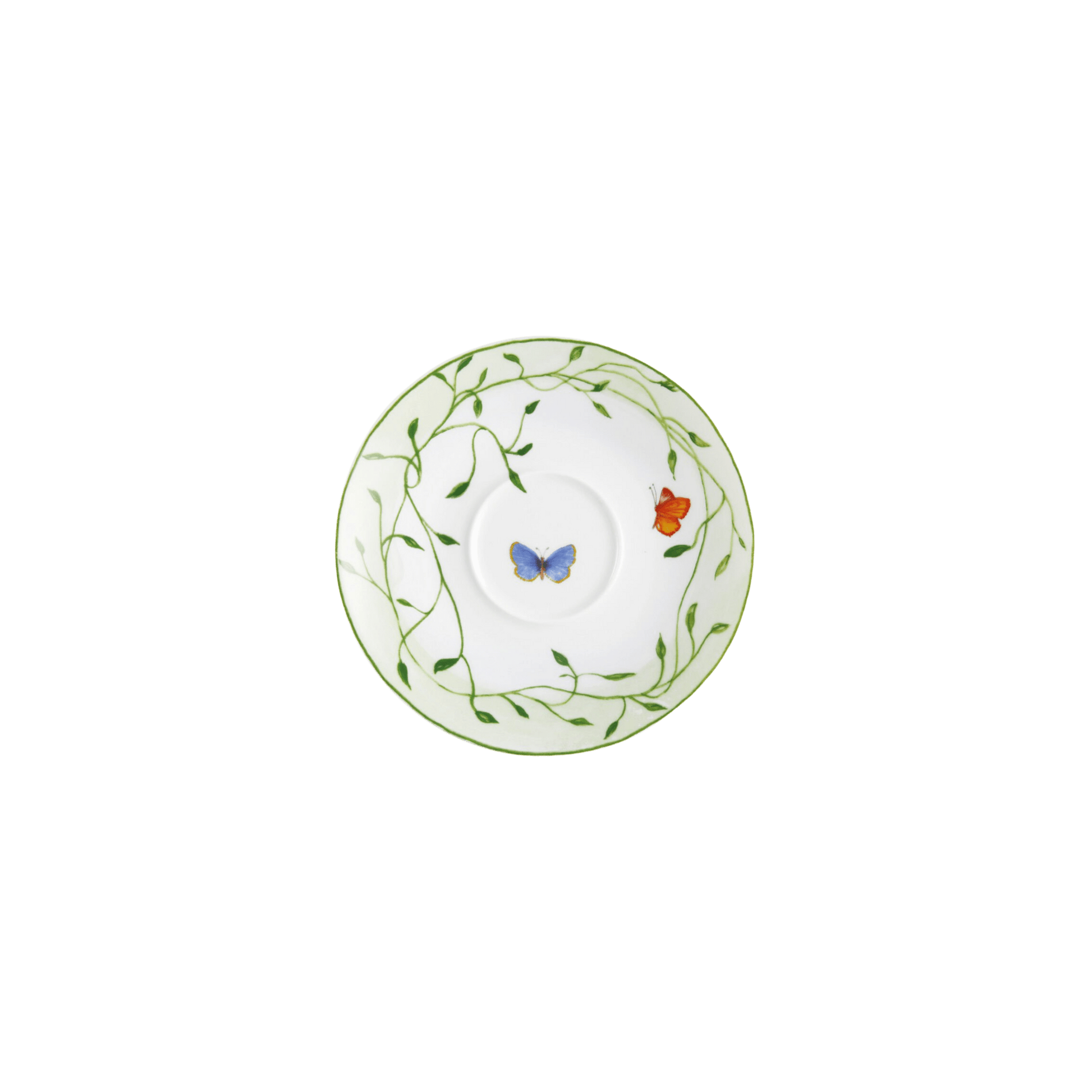 Histoire Naturelle Saucer - Hosted by Kelly Gaudreau