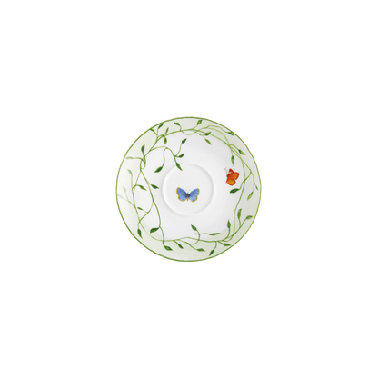 Histoire Naturelle Saucer - Hosted by Kelly Gaudreau