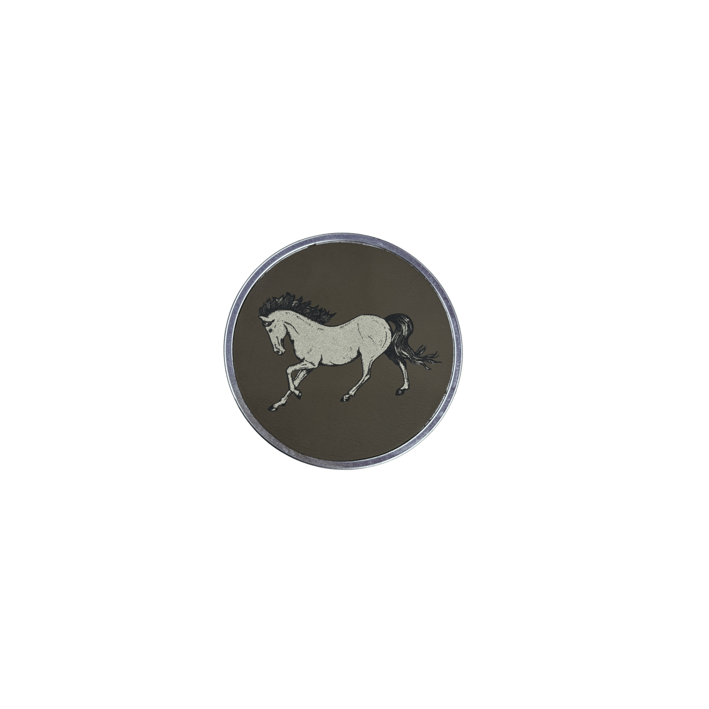 Horse Coasters - Hosted by Kelly Gaudreau