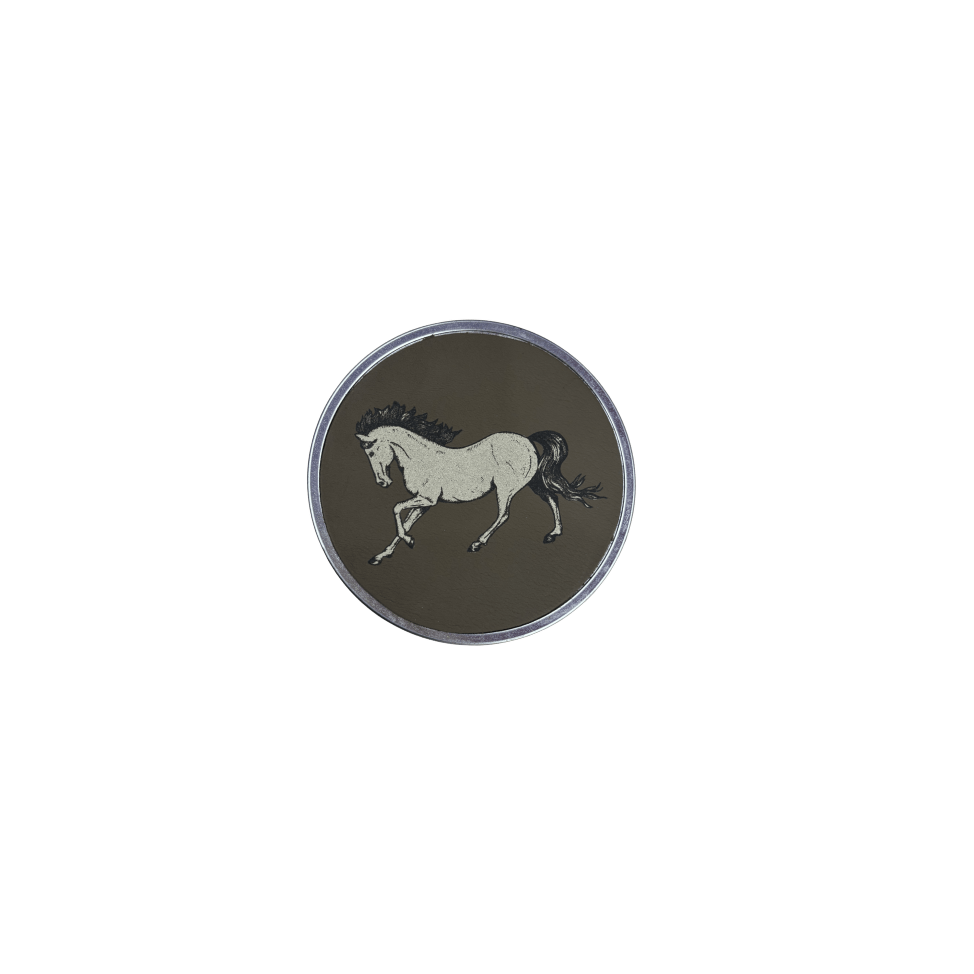 Horse Coasters - Hosted by Kelly Gaudreau