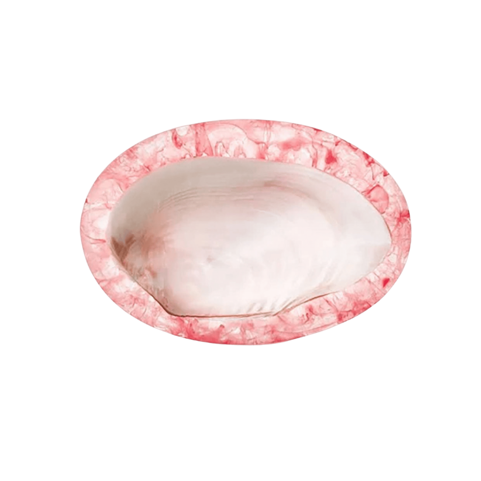 Large Caviar Dish - Hosted by Kelly Gaudreau