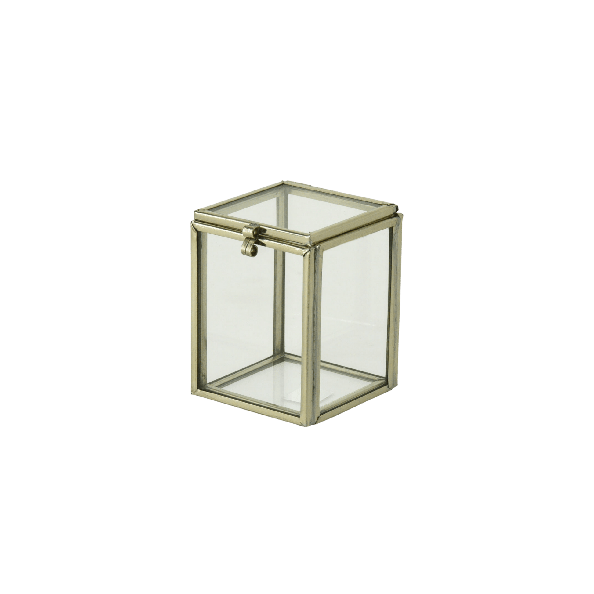 Large Cork Safe - Hosted by Kelly Gaudreau