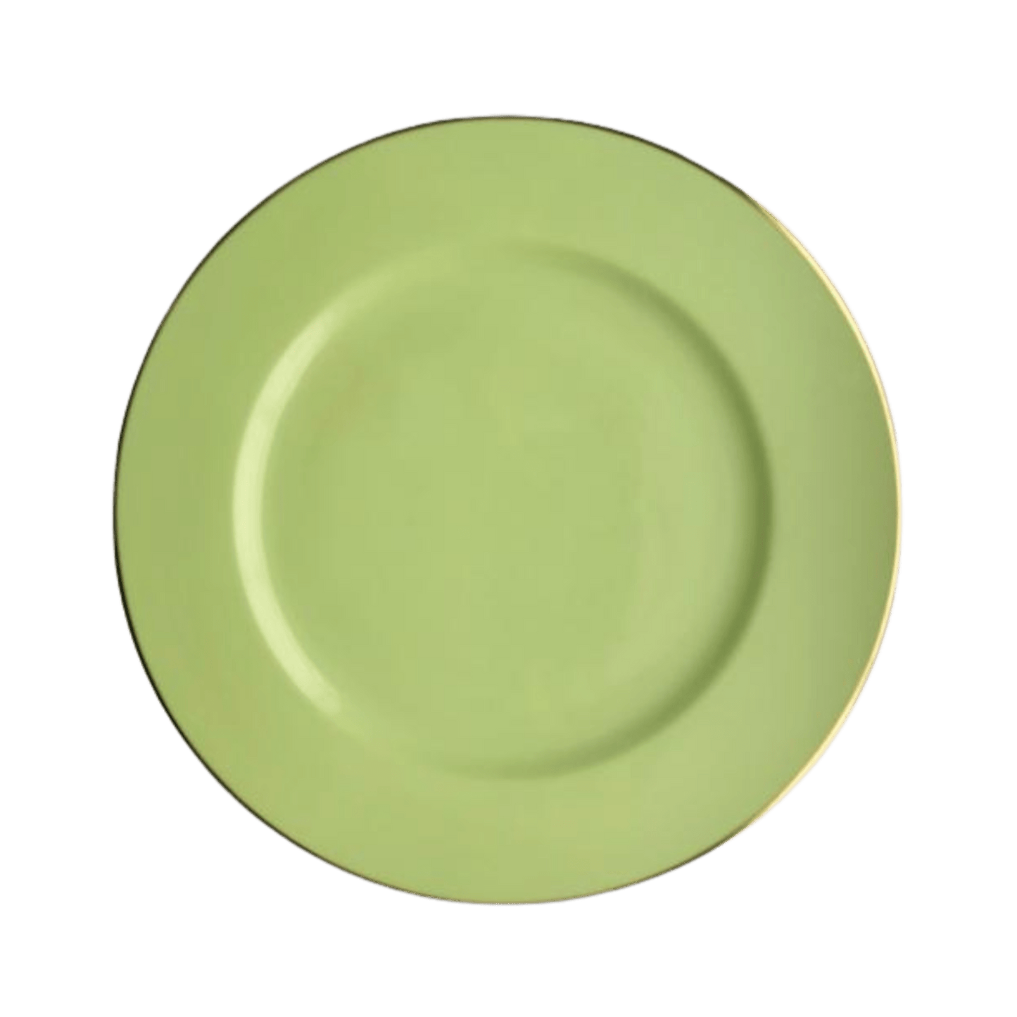 Light Green Charger - Hosted by Kelly Gaudreau