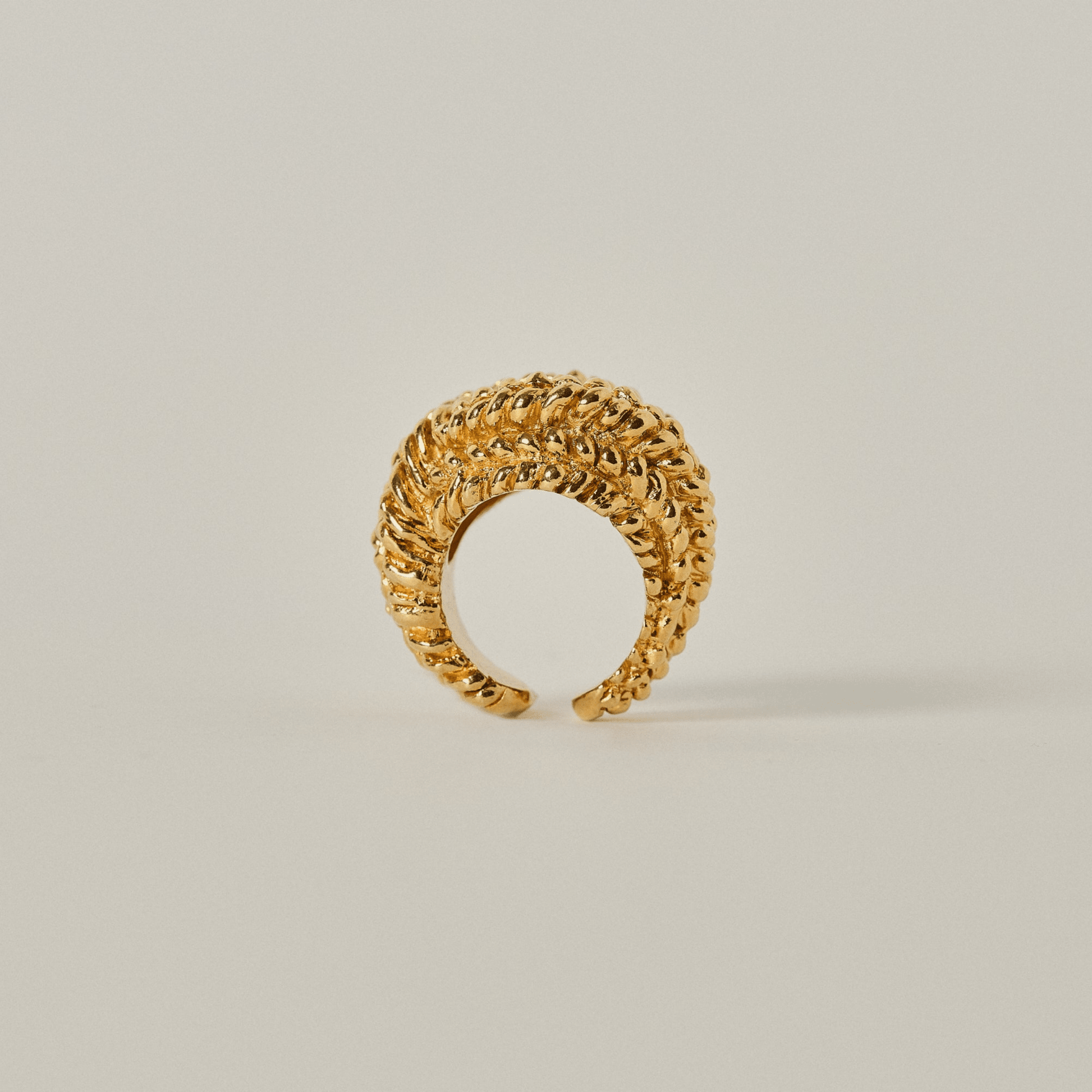 Loop Ring - Hosted by Kelly Gaudreau