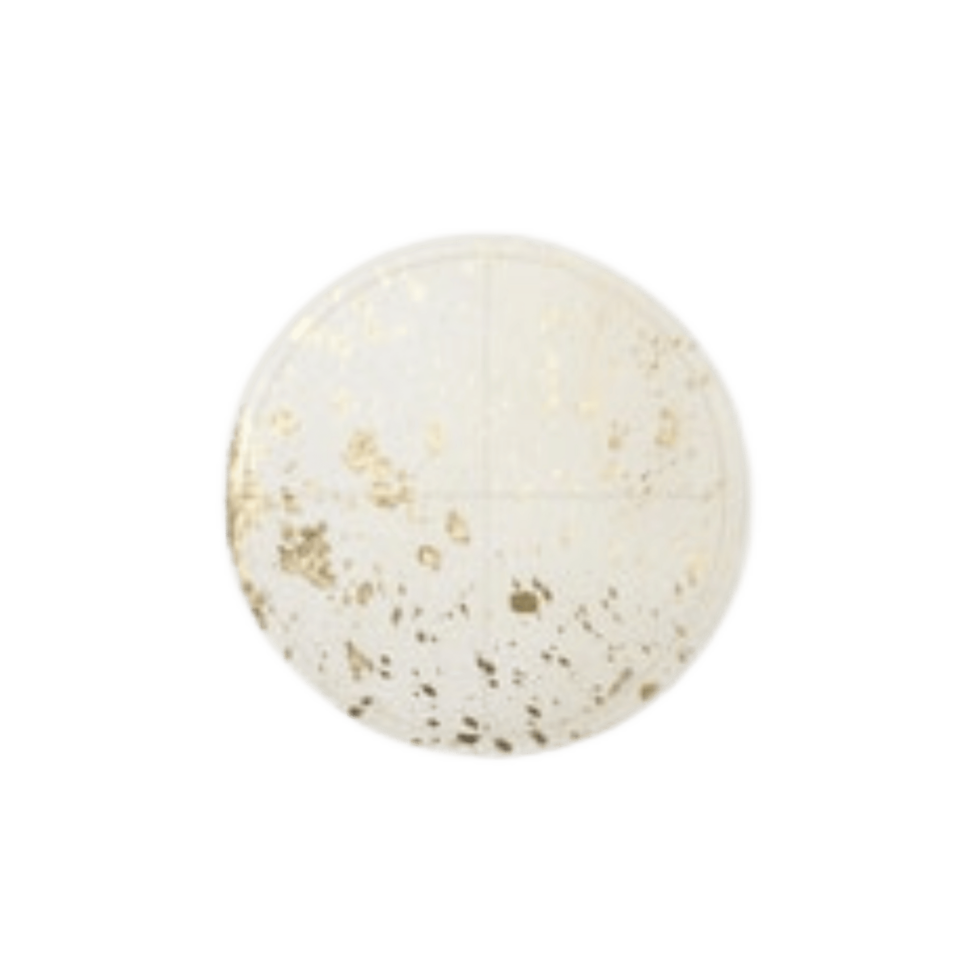 Miriam White/Gold Speckle Placemat - Set Of 2 - Hosted by Kelly Gaudreau