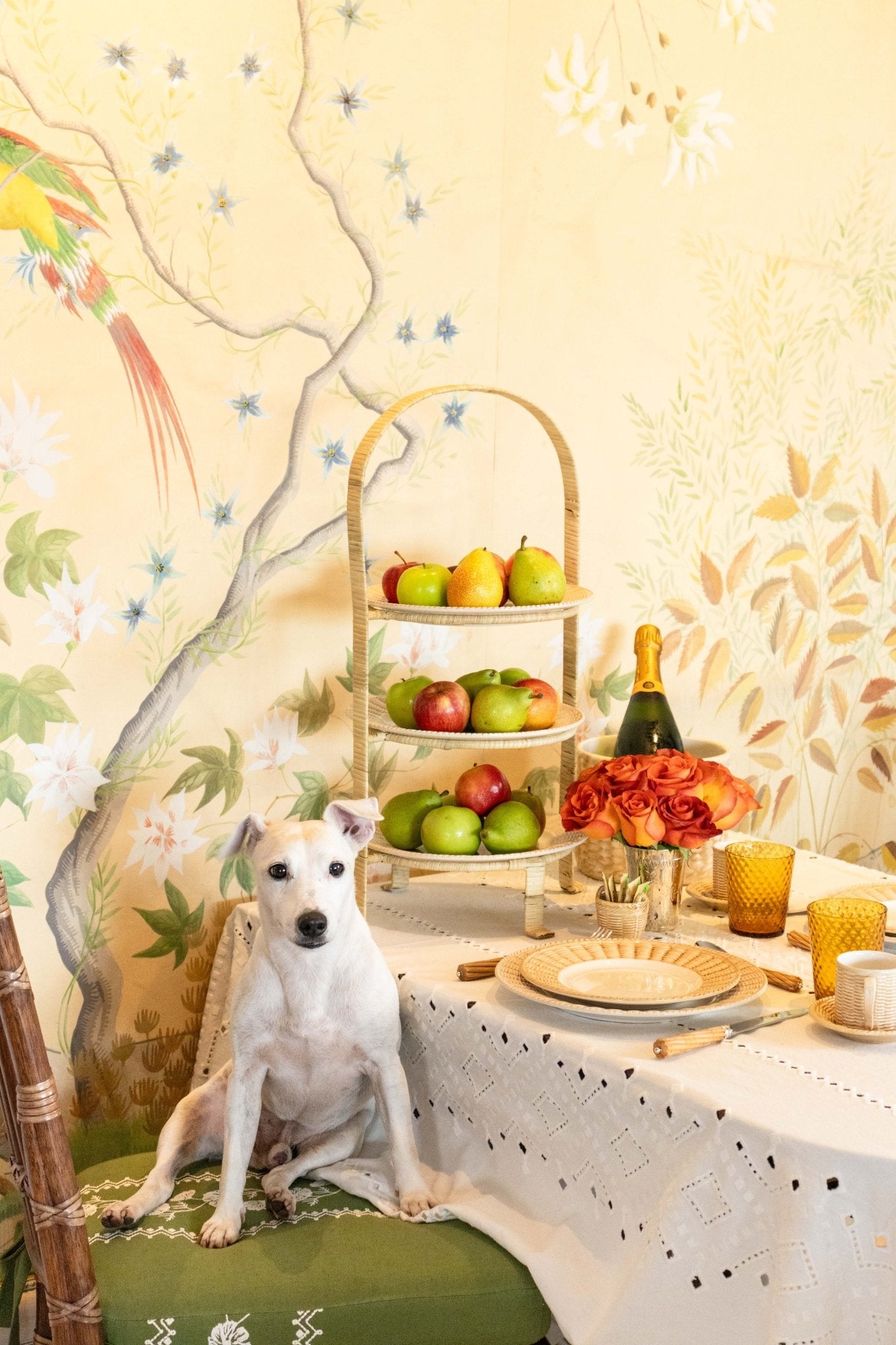 Ojete White Tablecloth - Hosted by Kelly Gaudreau