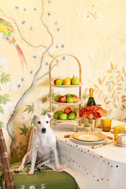 Ojete White Tablecloth - Hosted by Kelly Gaudreau