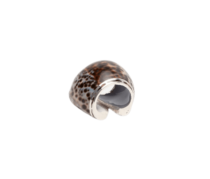 Olivia Tiger Cowrie Shell Napkin Ring Set of 4 - Hosted by Kelly Gaudreau