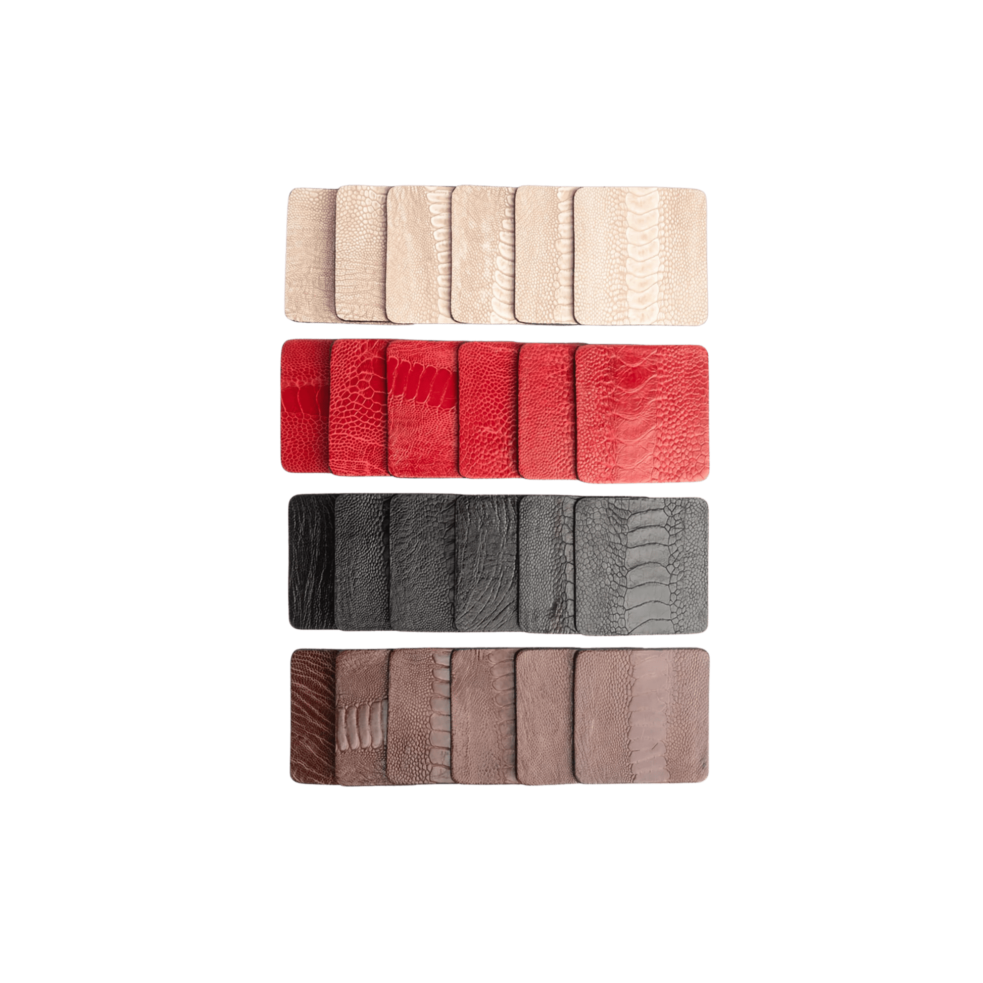 Ostrich Shin Coasters with Tie - Set of 6 - Hosted by Kelly Gaudreau