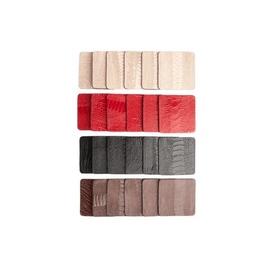 Ostrich Shin Coasters with Tie - Set of 6 - Hosted by Kelly Gaudreau