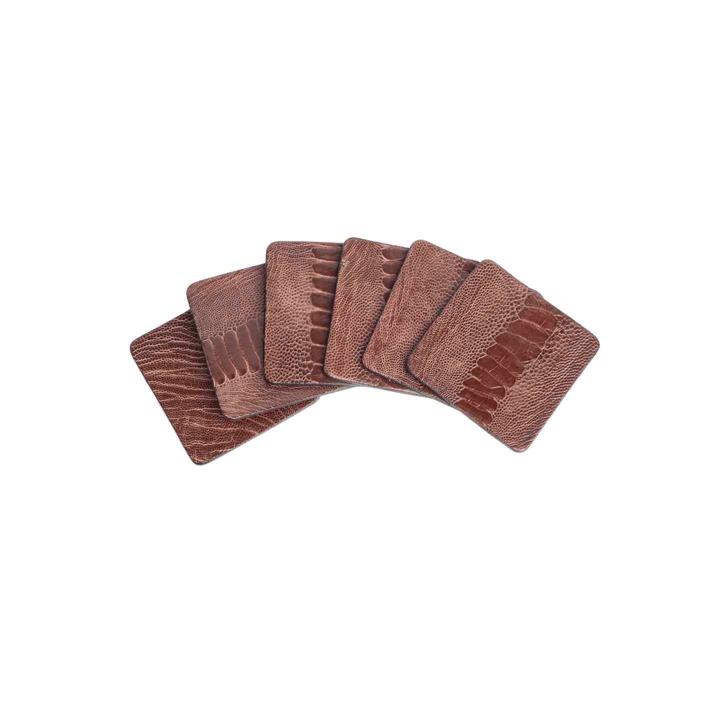 Ostrich Shin Coasters with Tie - Set of 6 - Hosted by Kelly Gaudreau