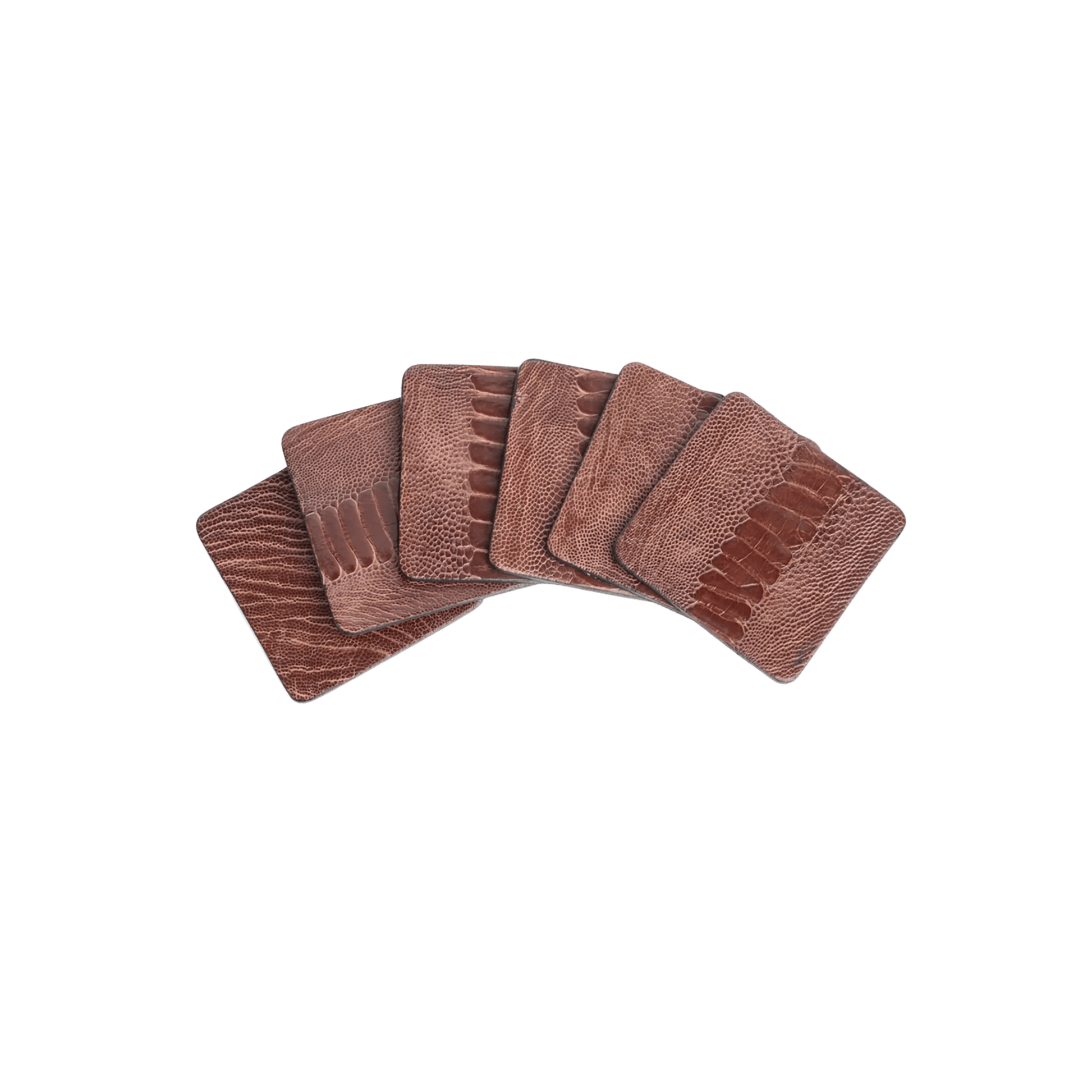 Ostrich Shin Coasters with Tie - Set of 6 - Hosted by Kelly Gaudreau