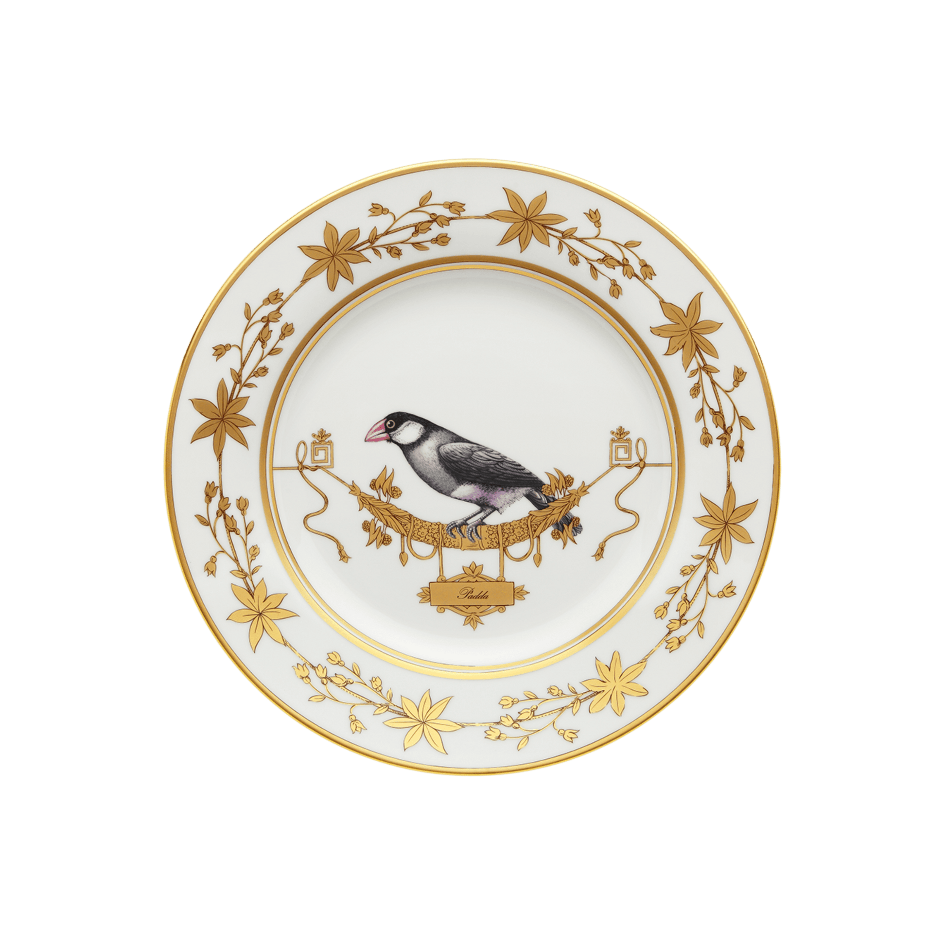 Padda Flat Dinner Plate - Hosted by Kelly Gaudreau