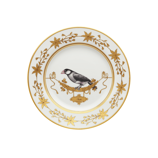 Padda Flat Dinner Plate - Hosted by Kelly Gaudreau