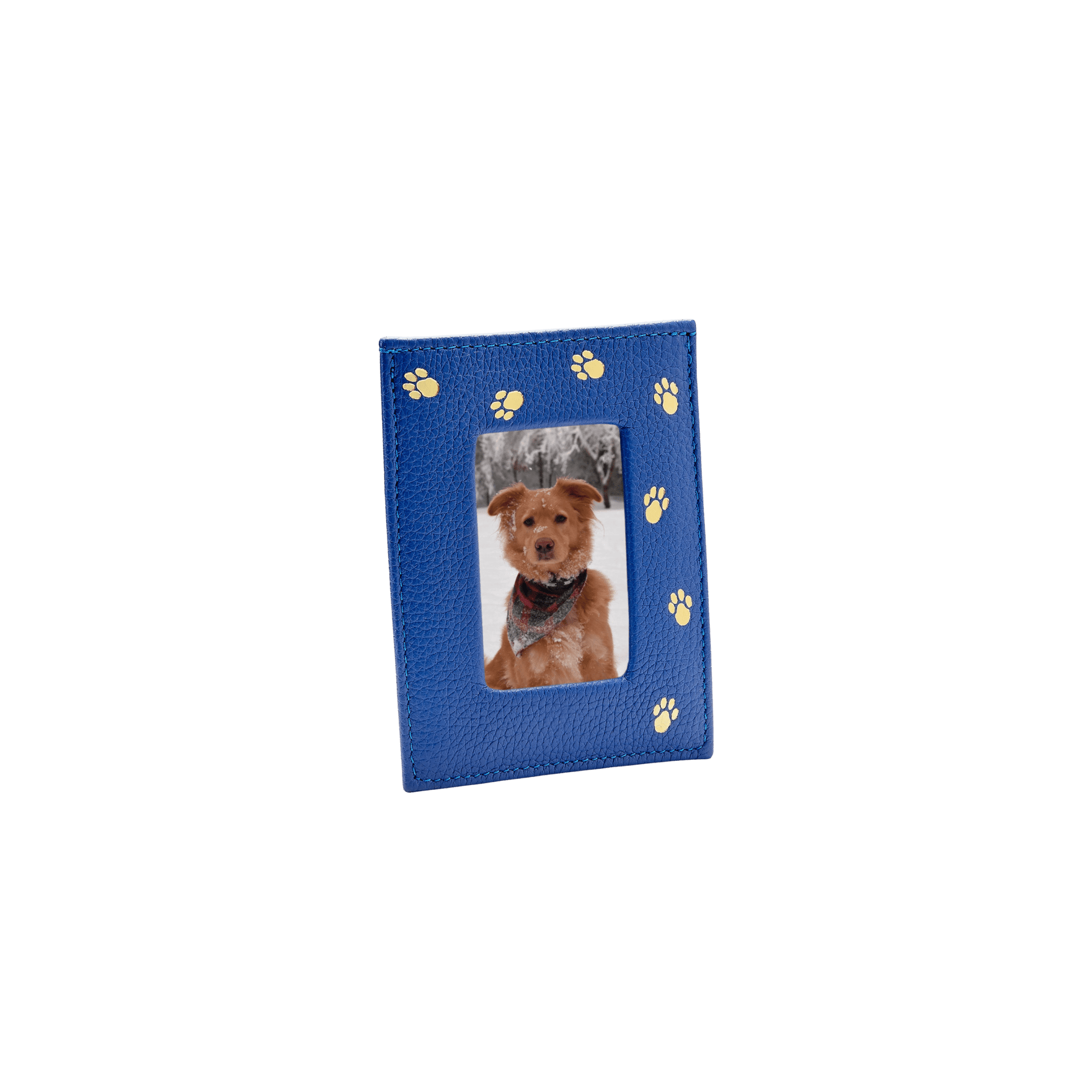Pebble Grain Leather Pet Frame - Hosted by Kelly Gaudreau