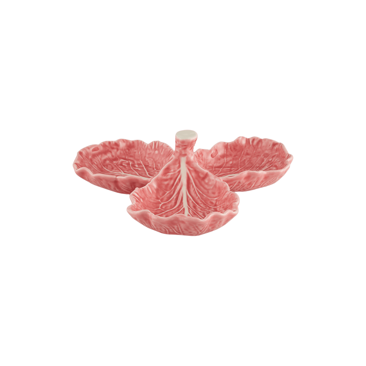 Pink Cabbage Olive Dish - Hosted by Kelly Gaudreau