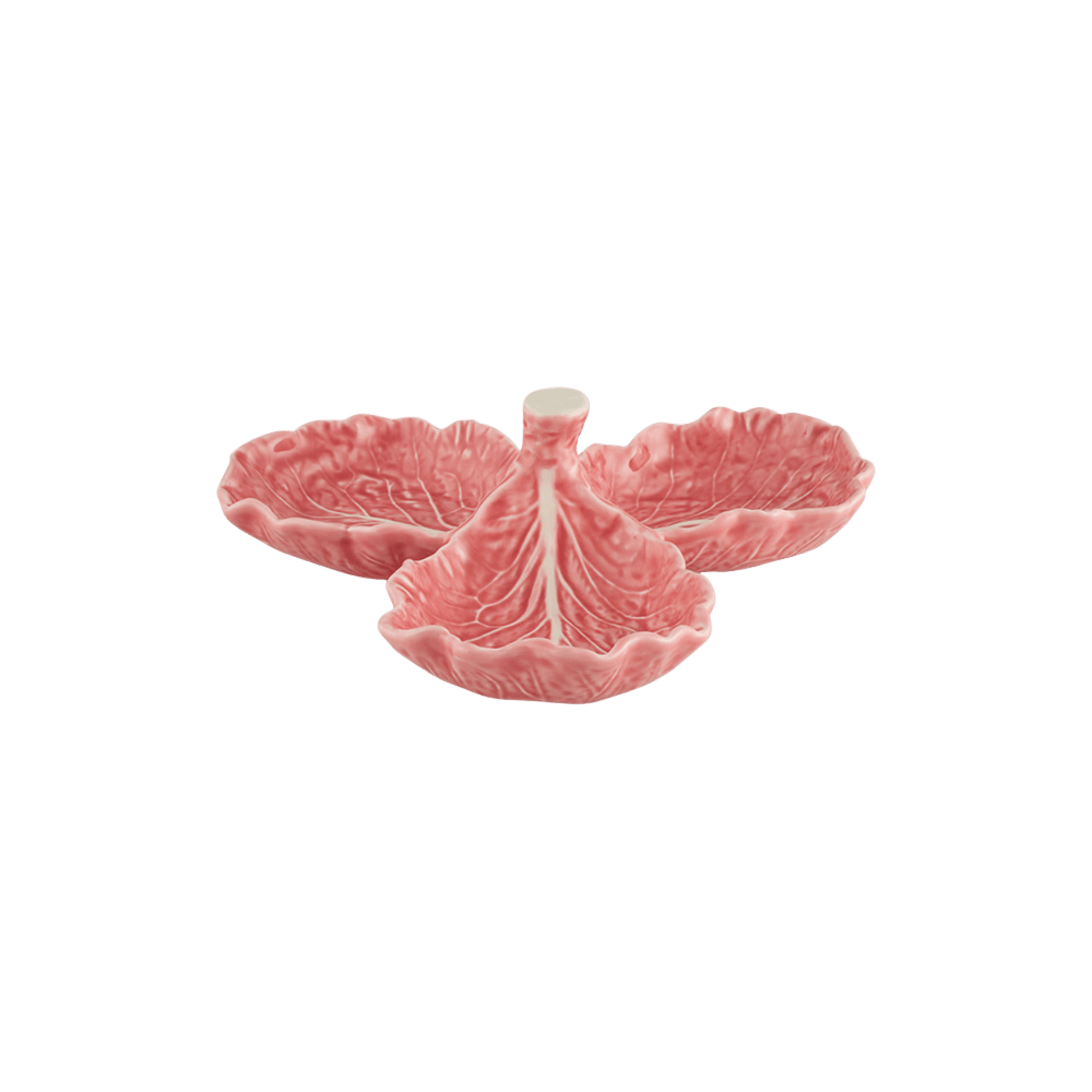 Pink Cabbage Olive Dish - Hosted by Kelly Gaudreau