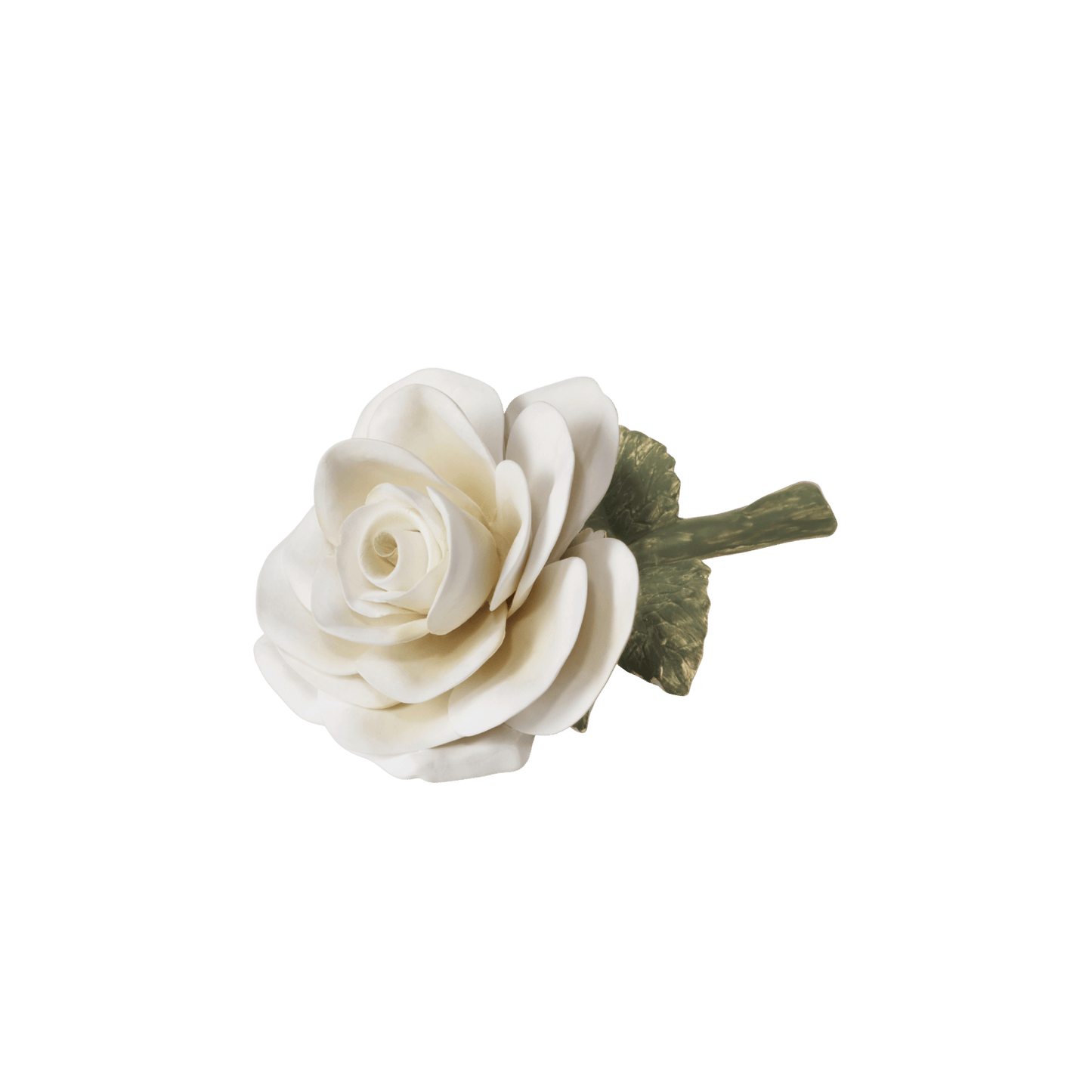 Porcelain Rose - Cream - Hosted by Kelly Gaudreau