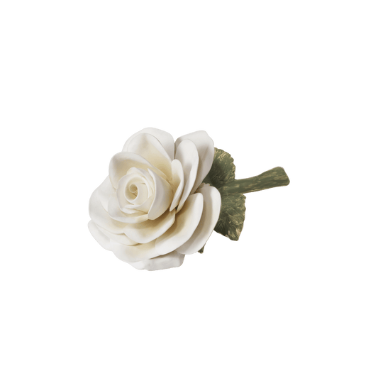 Porcelain Rose - Cream - Hosted by Kelly Gaudreau