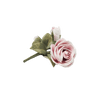 Pale Pink