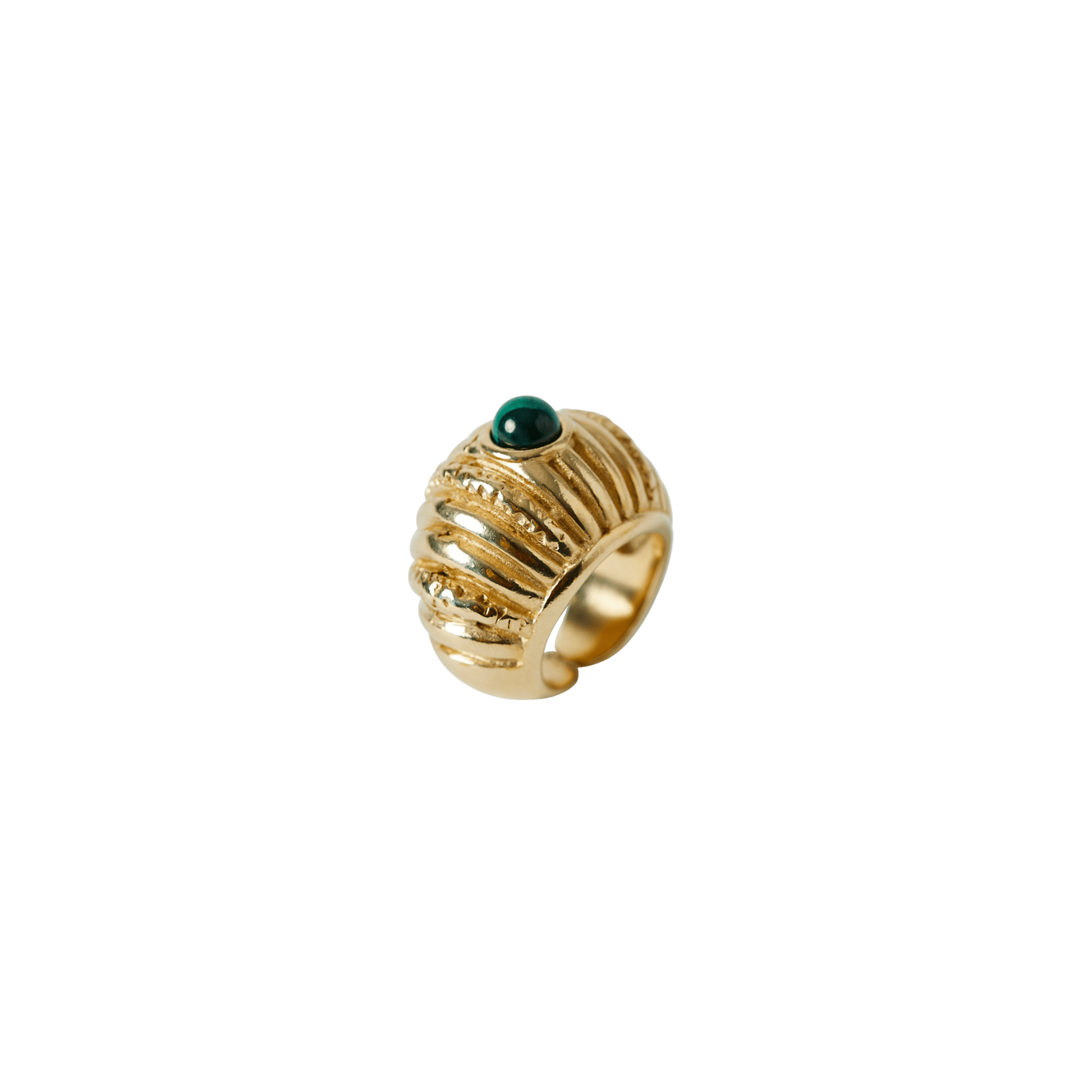 Reef Ring - Hosted by Kelly Gaudreau